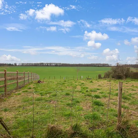 Tranquil In * Tinlot