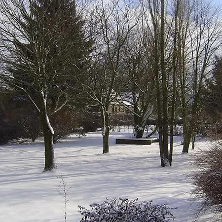 Tranquil In * Tinlot